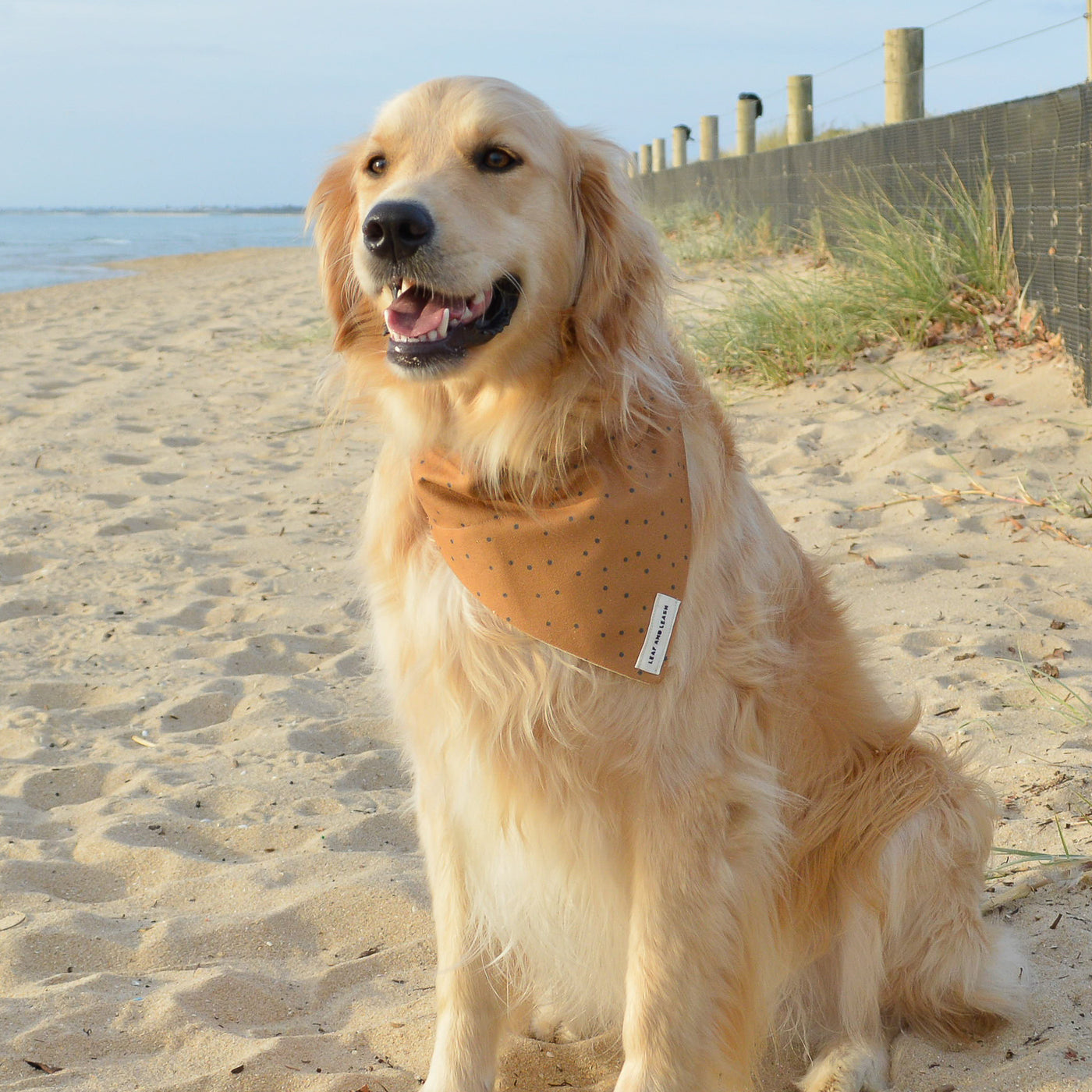 Soil and Seeds Dog Bandana